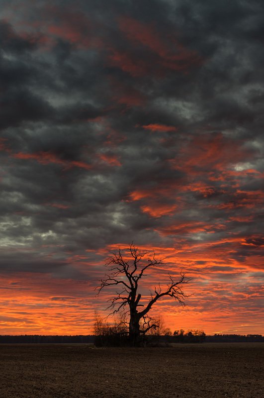 Fiery sunset фото превью