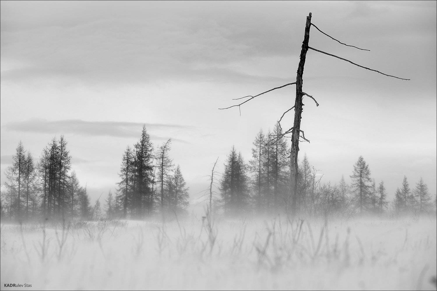 , Стас Кадрулёв