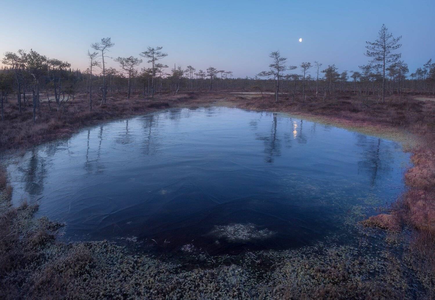 болото, кайф, рассвет ,север ,солнце, свет, закат, облака, отражение, фототур, Павел Ващенков