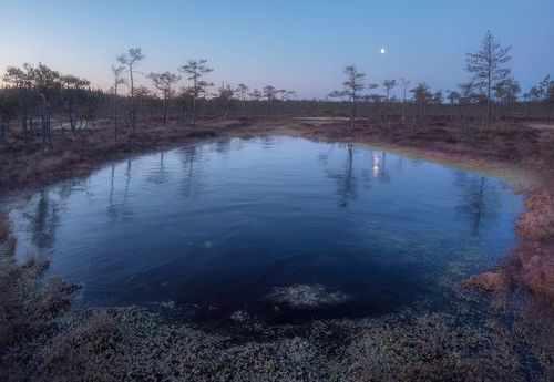 Перед рассветом
