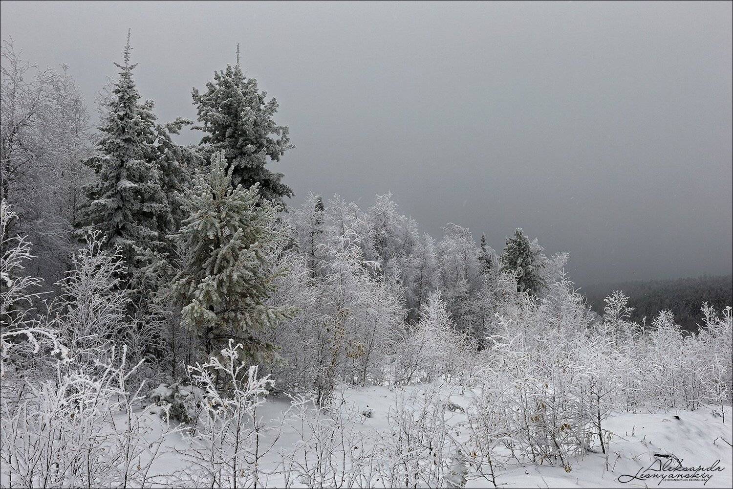 забайкальский край, Александр Леснянский