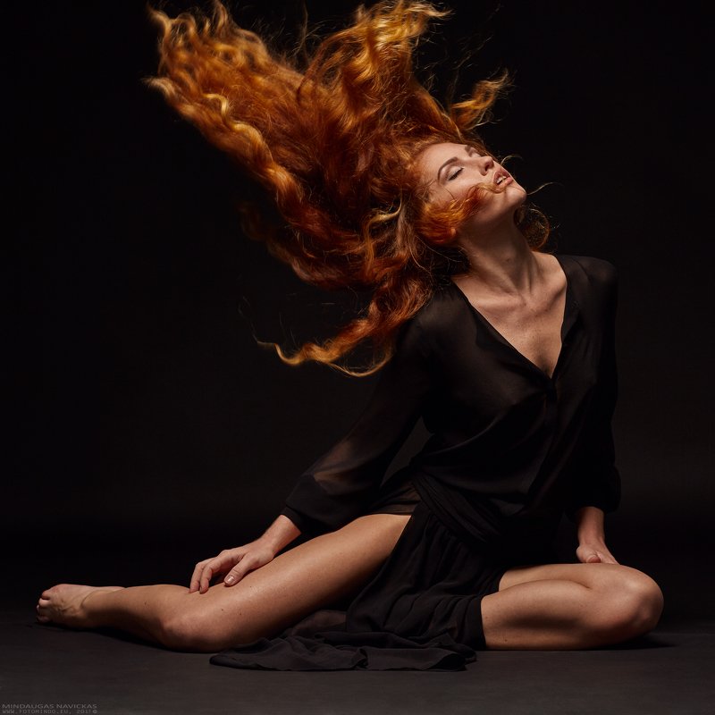 Vaida фото превью