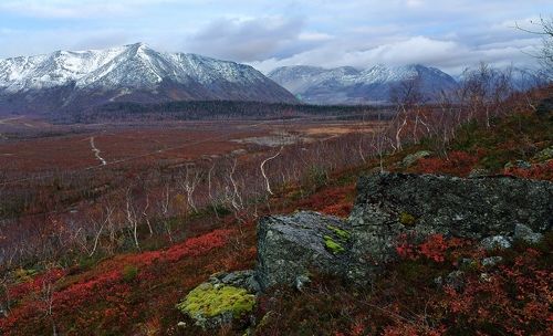 Краски севера