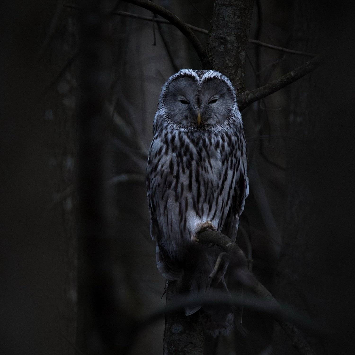 , Дмитрий Вилюнов