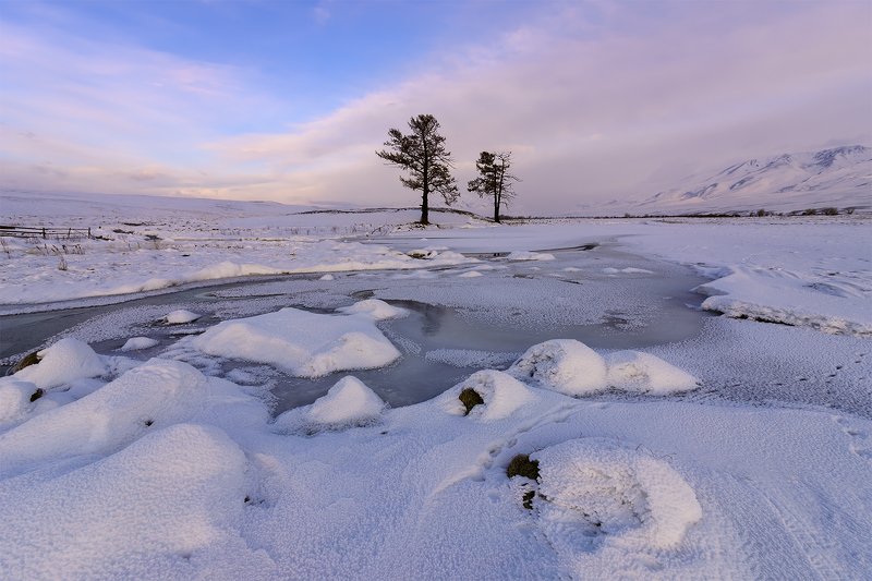 Зимнее утро... фото превью