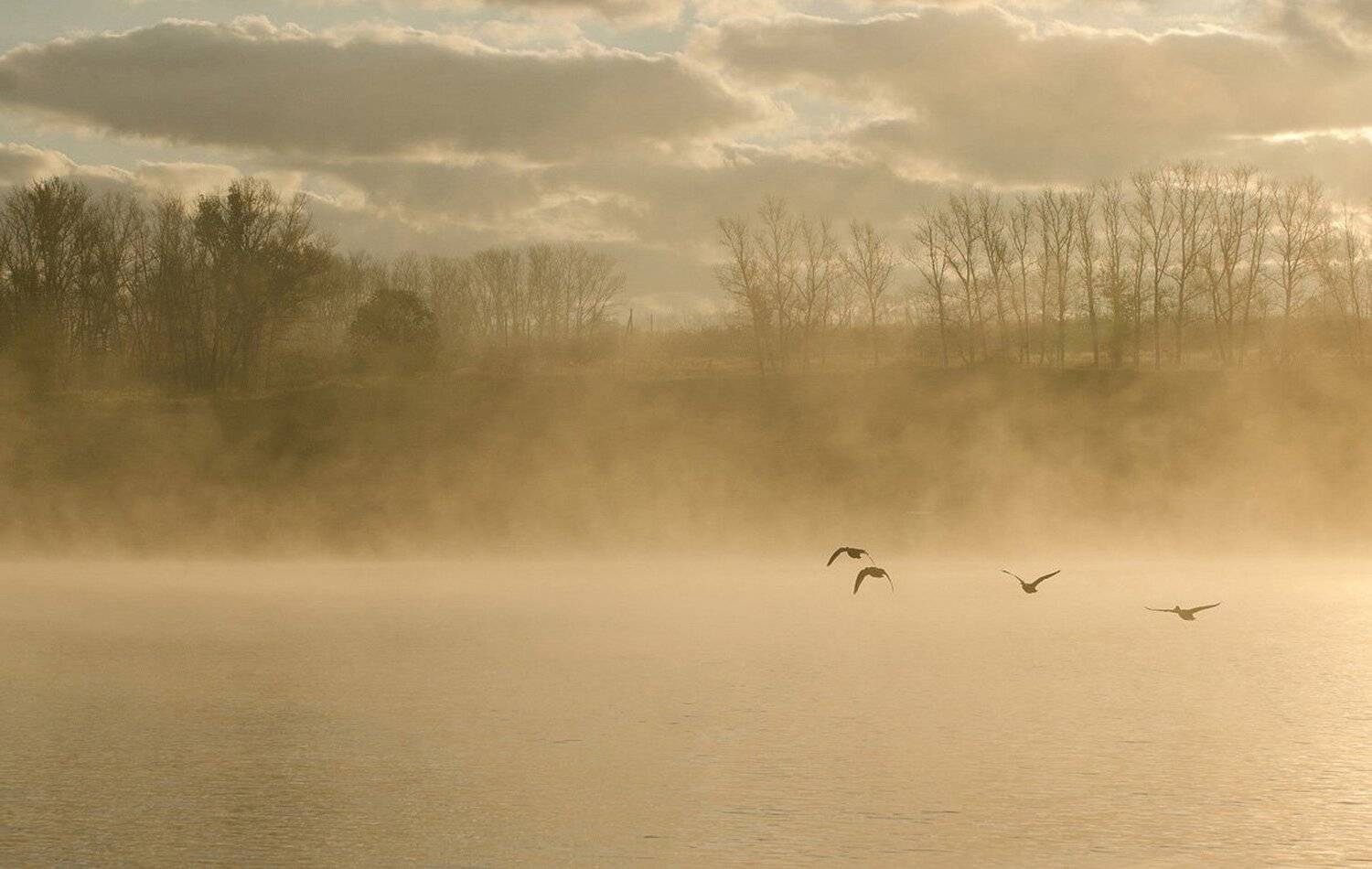утро, природа, архангельское, Михаил Агеев