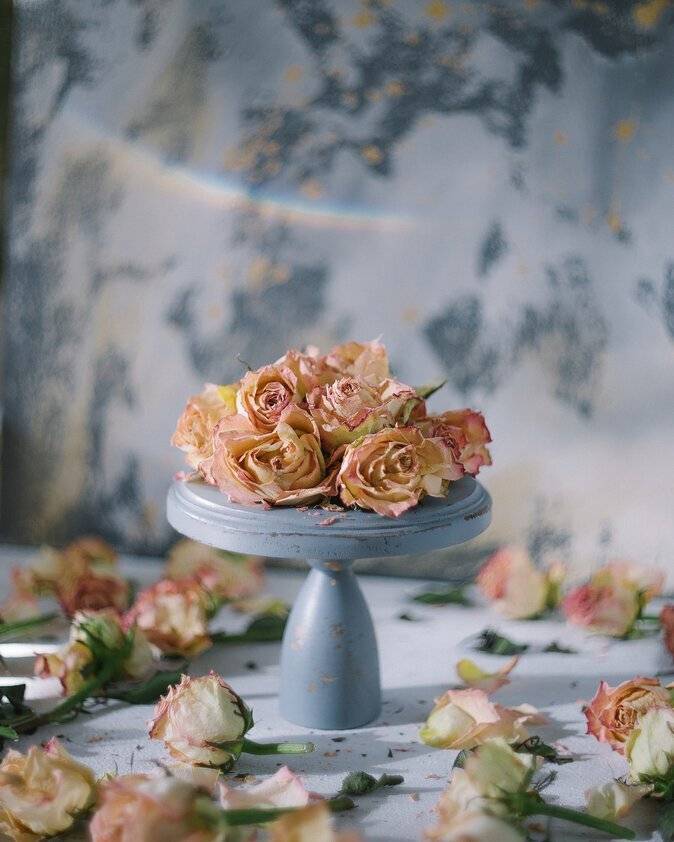 Натюрморт, цветы, розы, свет, Анастасия Зубкова