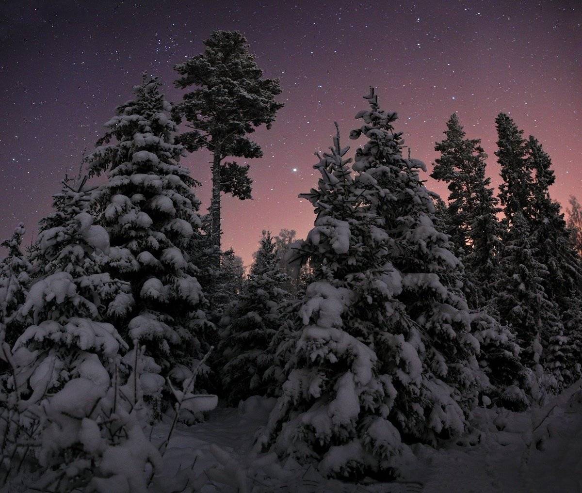 , Михаил Рева