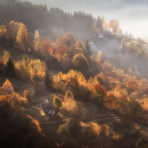 Утро в Карпатах