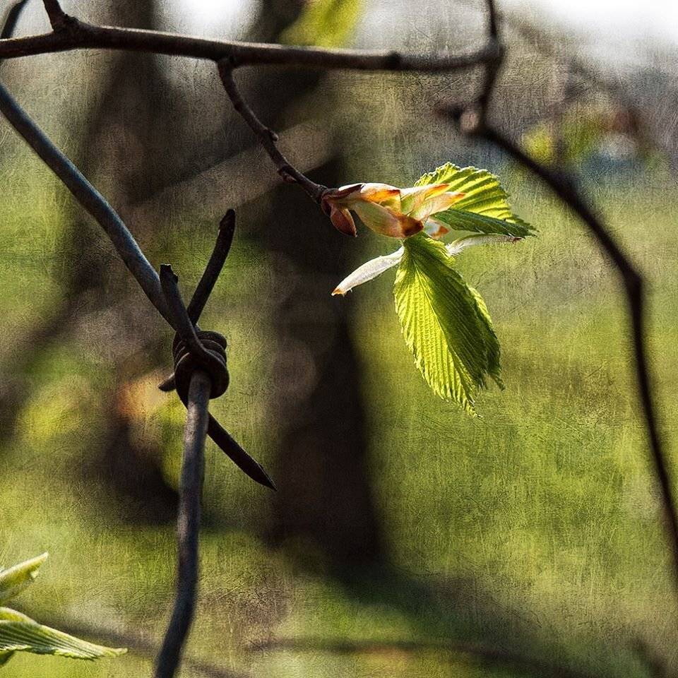 , Штабнов Юрий