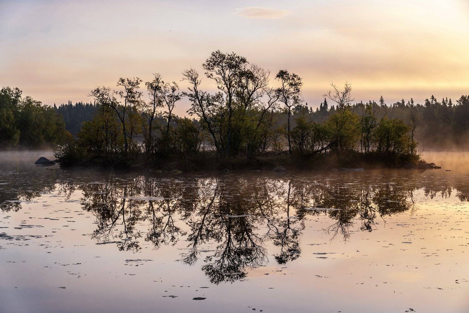 соловки, соловецкие острова, остров, утро, туман, озеро нижний перт, вода, отражение, восход, деревья, ник васильев, ,, Николай Васильев