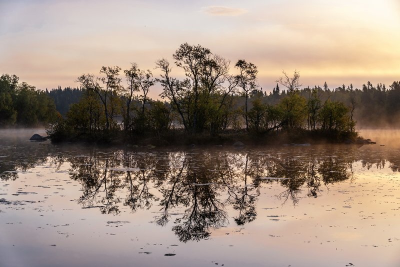 соловки, соловецкие острова, остров, утро, туман, озеро нижний перт, вода, отражение, восход, деревья, ник васильев, , Утро Нижнего Перта. фото превью