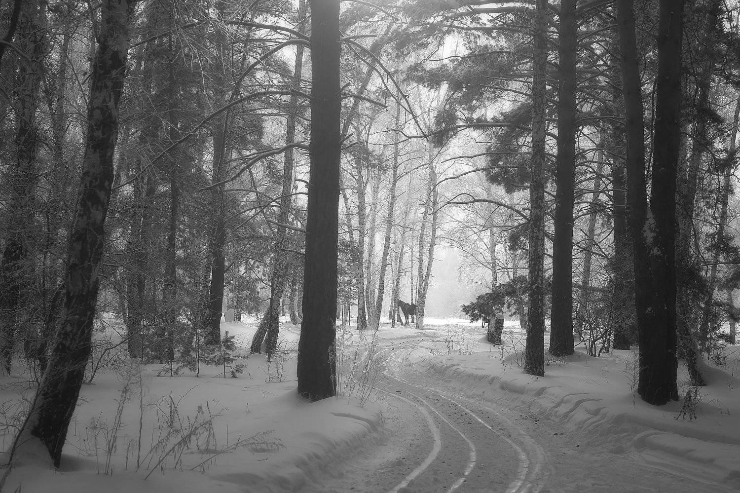 , Евгений Зинов