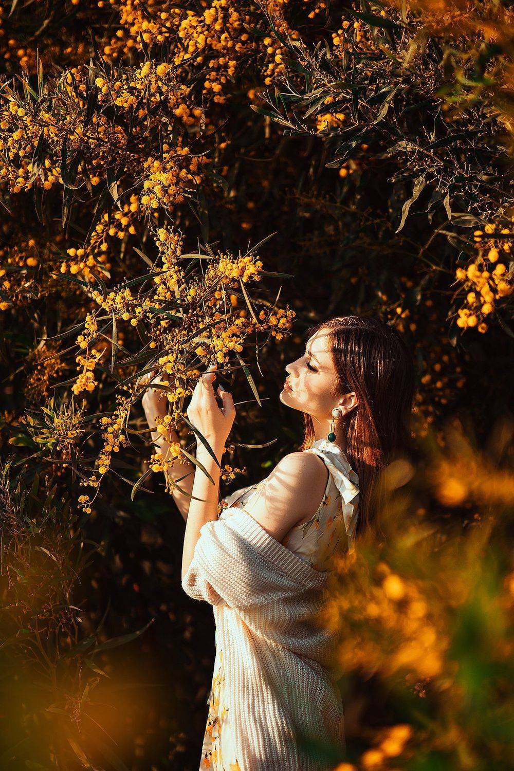 мимоза, цветение, потрет, тени, Катя Lovaphotos Орлова