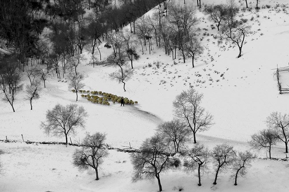 landscapes, zhang ike