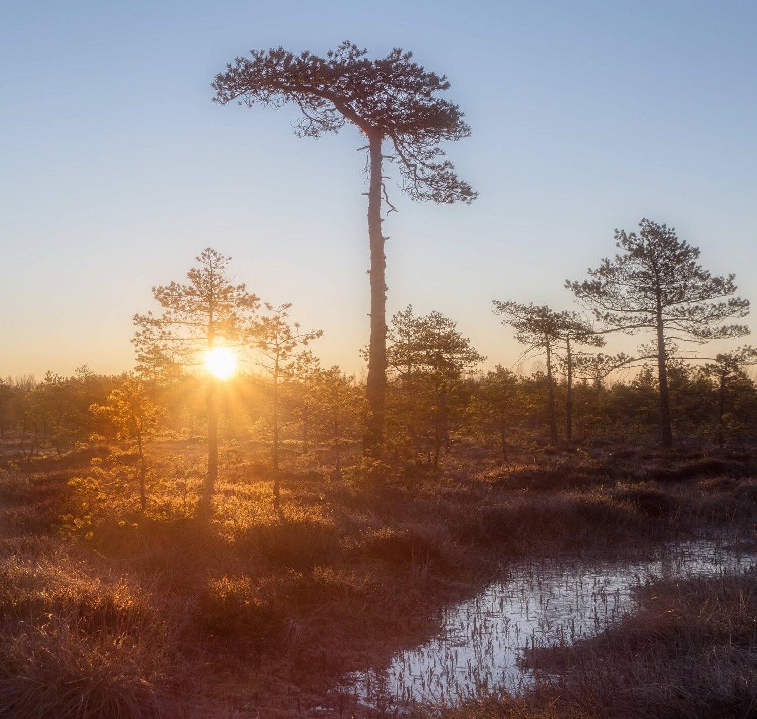 болото, кайф, рассвет ,север ,солнце, свет, закат, облака, отражение, фототур, Павел Ващенков