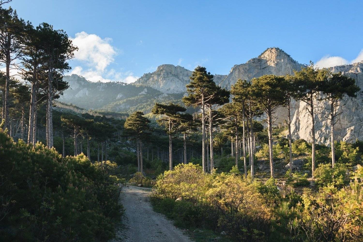 Крым, Элина Хван