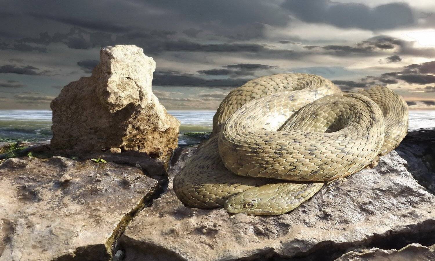 одесса, Сергей Кошелев