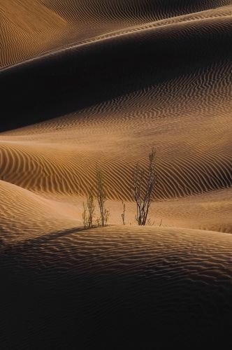 Shadow And Light