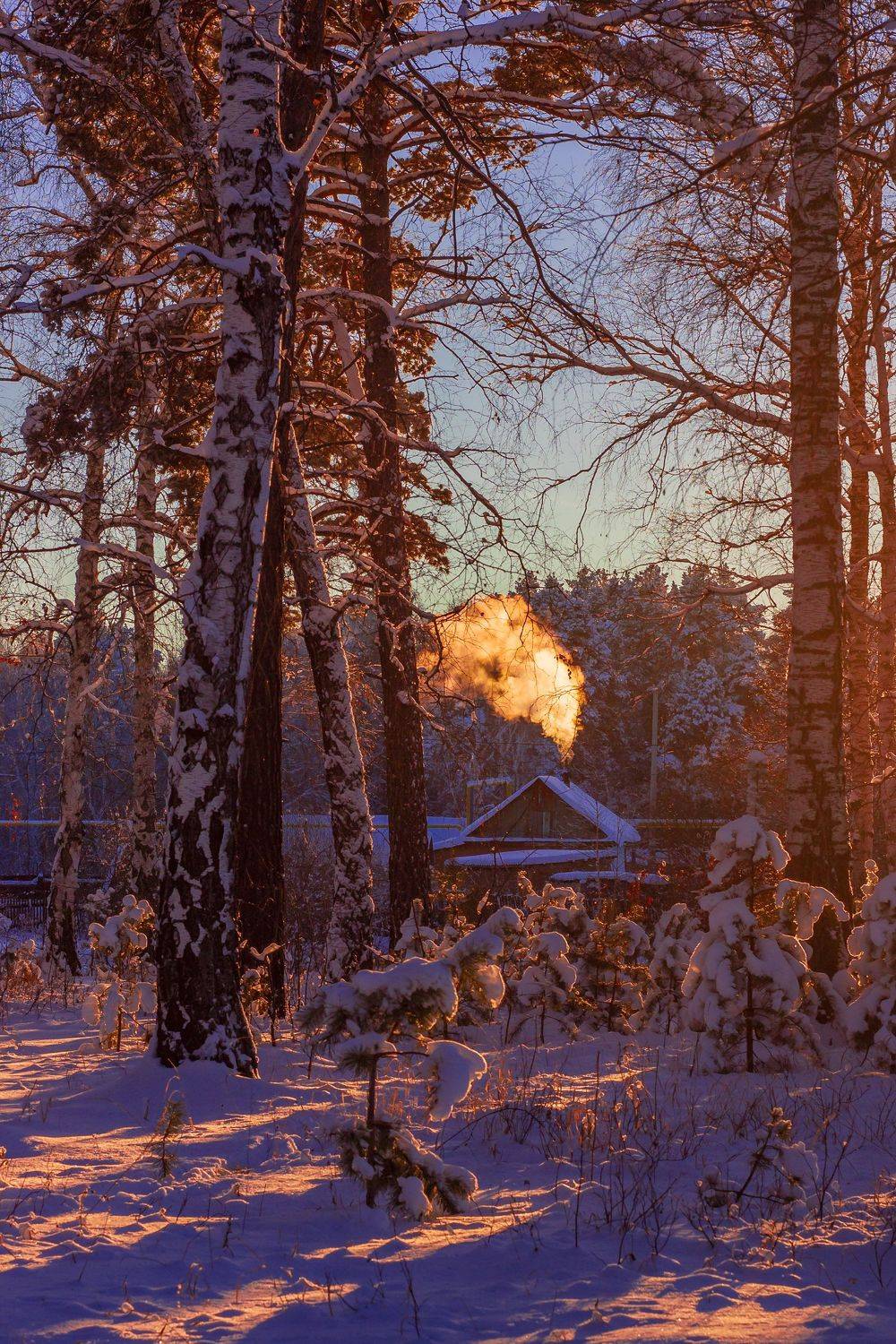 , Александр Кожухов