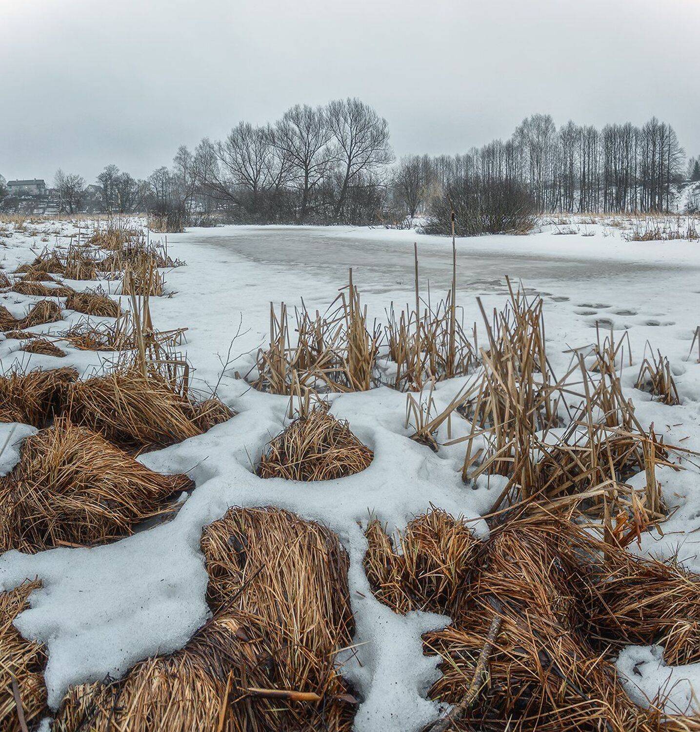 , Николай Андреев