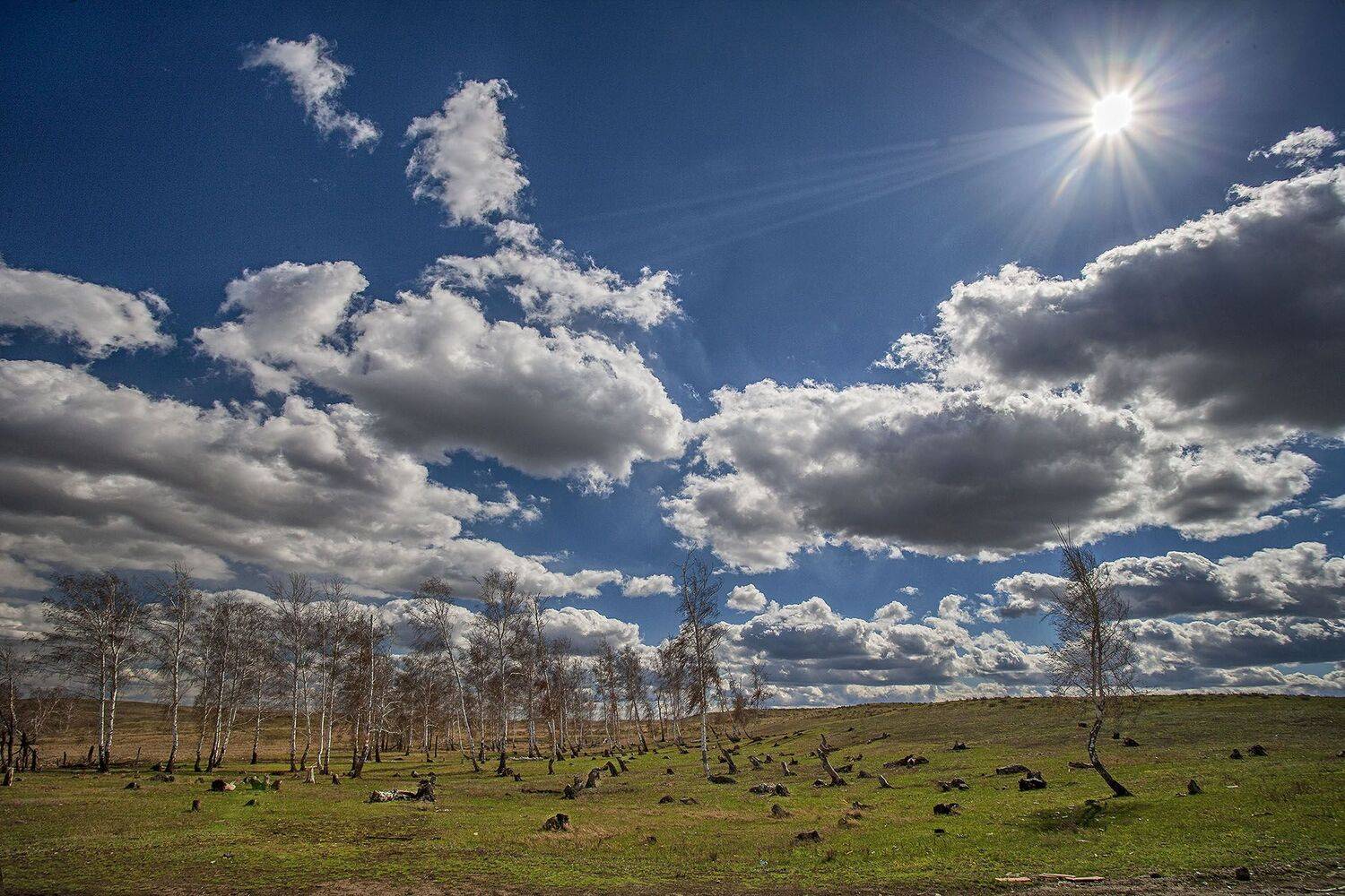 южный урал,оренбургская область, орск, новотроицк,, Качурин Алексей