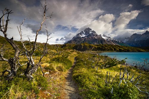 Patagonia