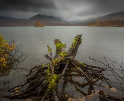 Кольский пень