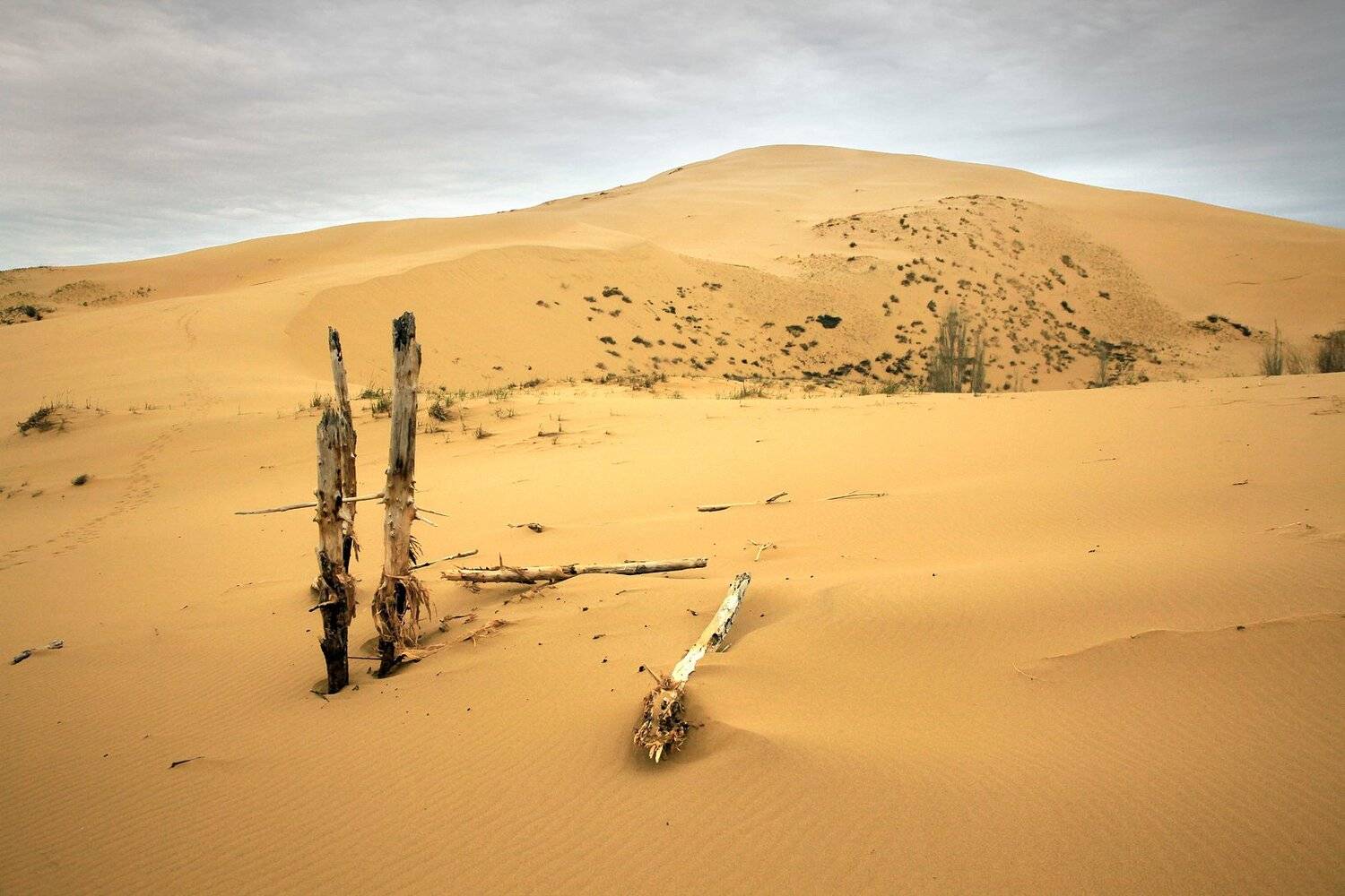 песок,песчаная гора,сарыкум,жёлтые пески,дагестан,заповедник., Marat Magov