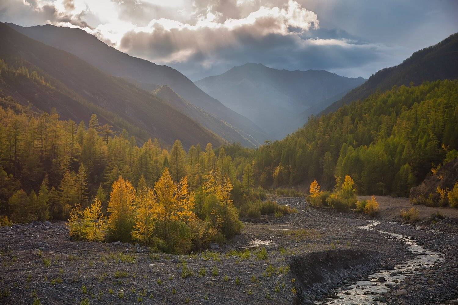 , Павел Глушков