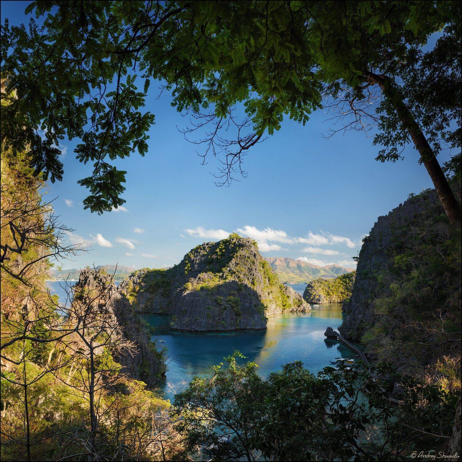 , Андрей Шумилин