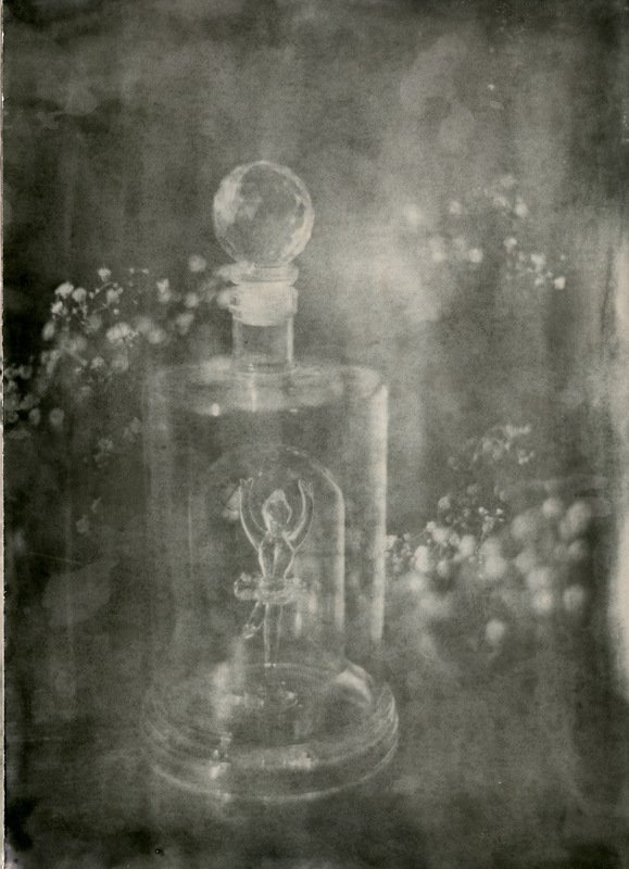 Элегия фото превью