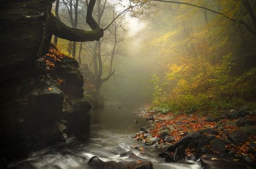 Deep in the mist / Глубоко в тумане
