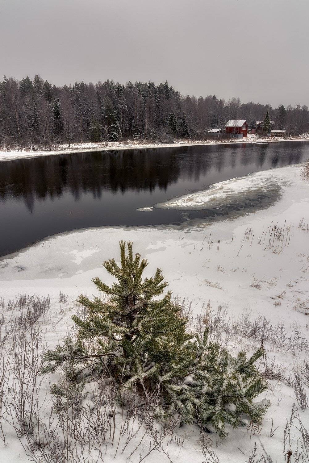 , Федотов Антон