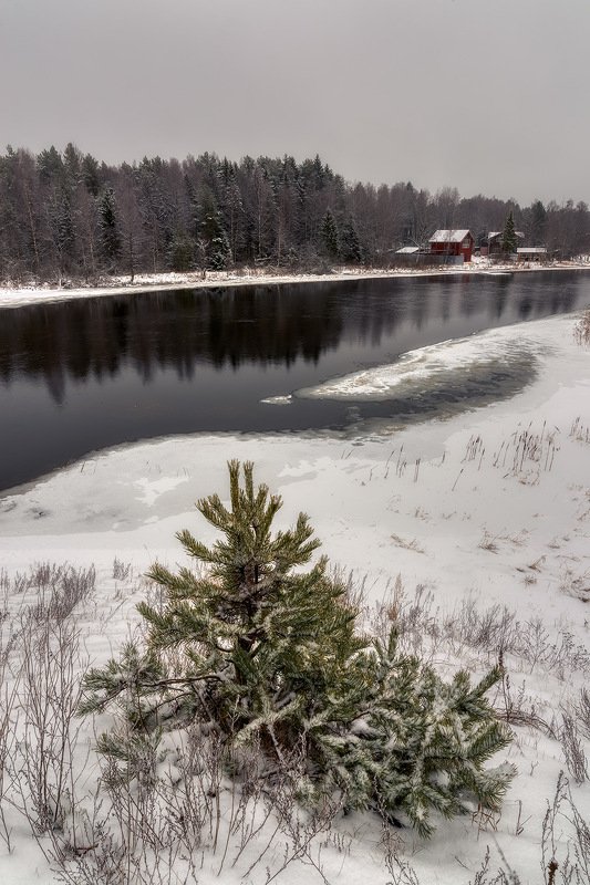 Маленькой ёлочке холодно зимой фото превью