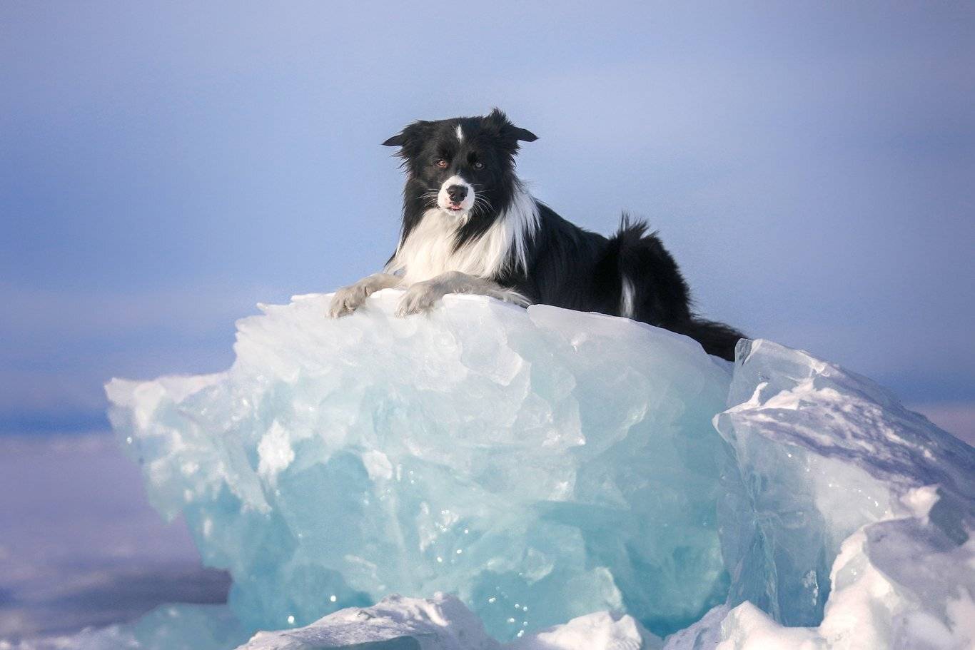 , Андрей Ершов
