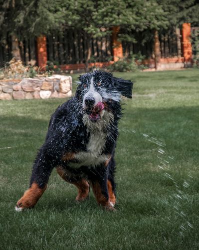 Летняя жара