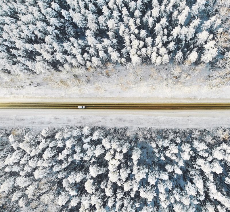 Winter forest road фото превью