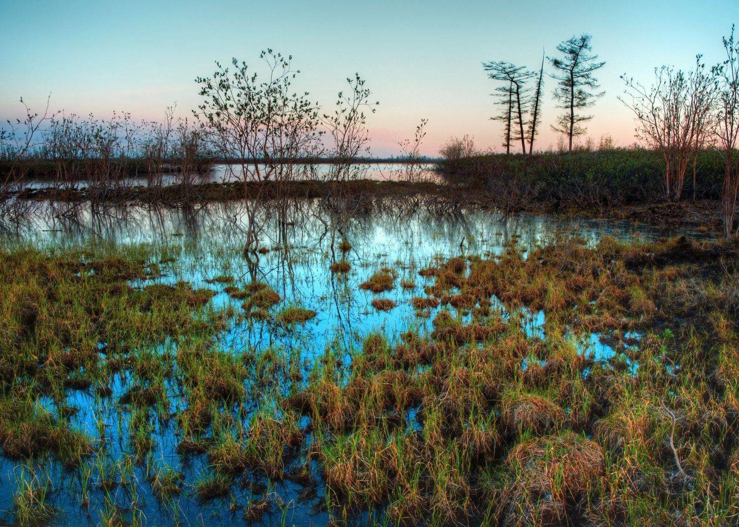 север, арктика, закат, полярный день, пейзаж, болота, российский север, крайний север, Евгений Кузьмин