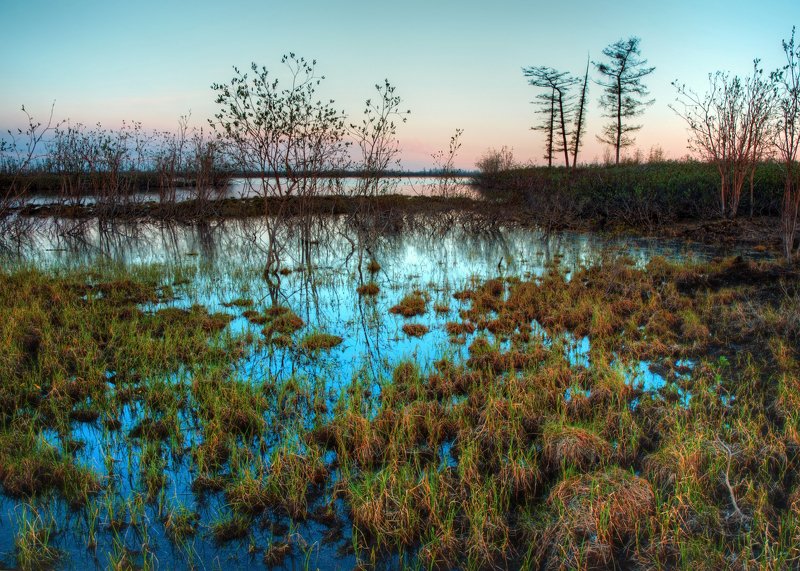 север, арктика, закат, полярный день, пейзаж, болота, российский север, крайний север Весна на севере фото превью