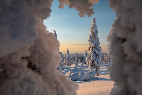 Подсматривая за красавицей