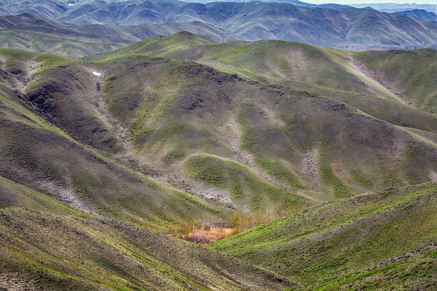 южный урал,оренбургская область, орск, новотроицк,, Качурин Алексей