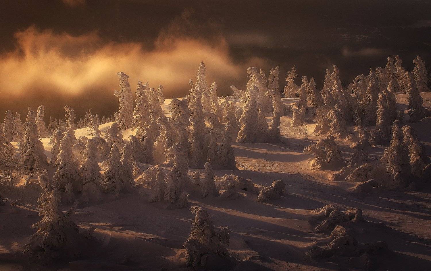 , Татьяна Бирюкова