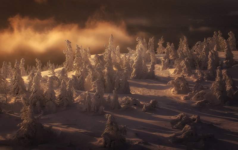 Прощание с зимой фото превью