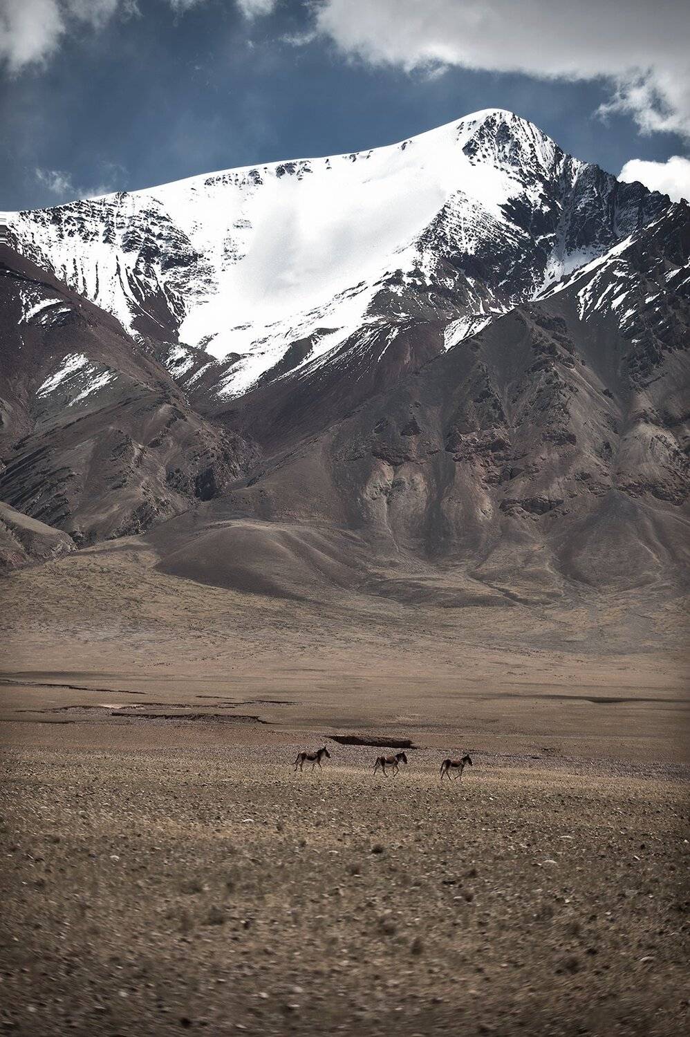 landscapes, zhang ike