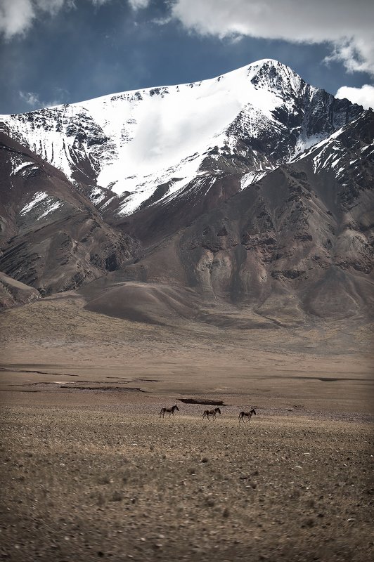 landscapes тибетский Али фото превью