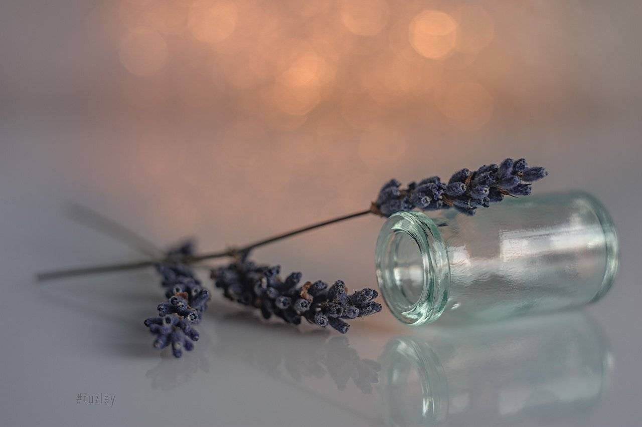 лаванда, боке, гелиос 44, Владимир Тузлай