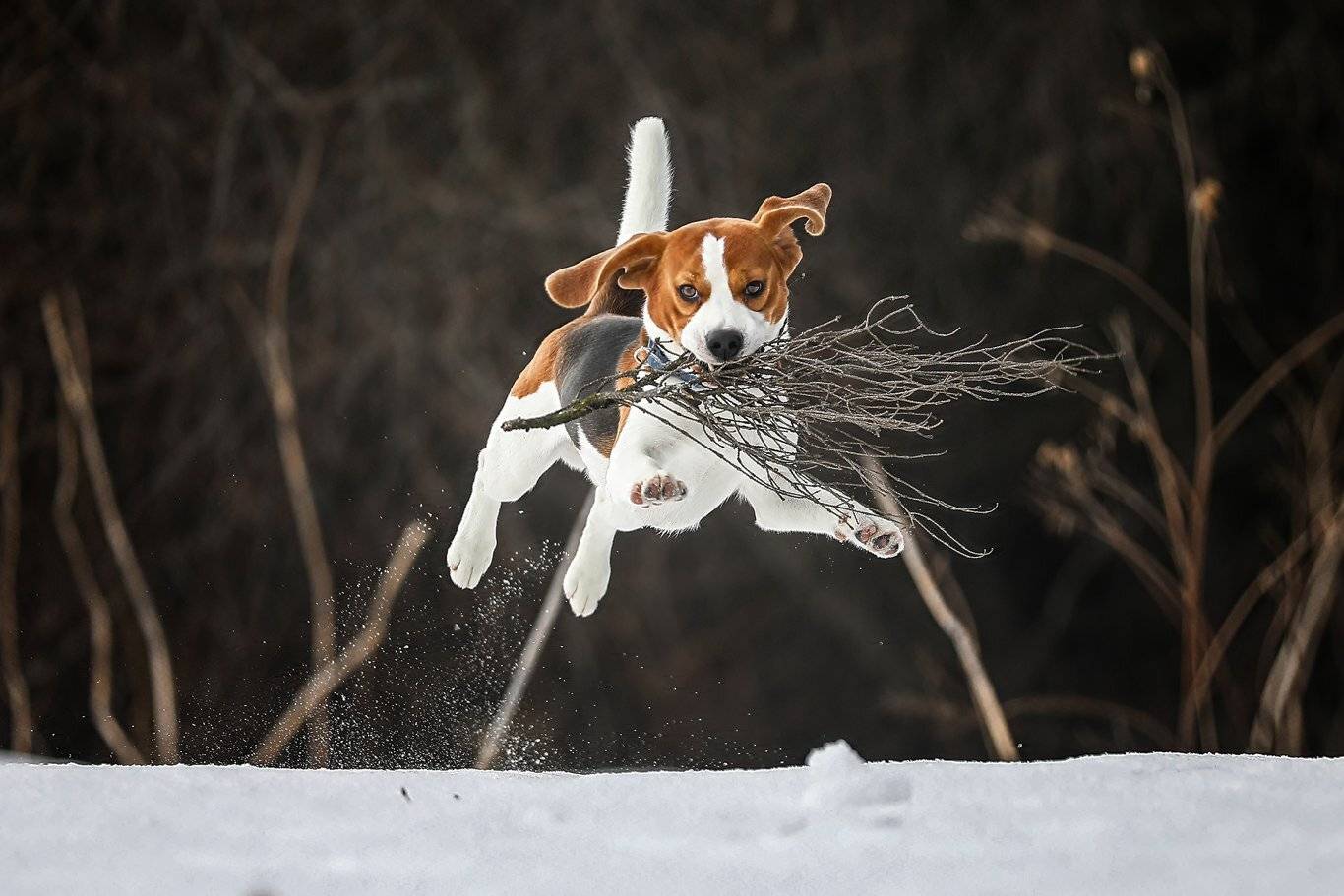 , Андрей Ершов