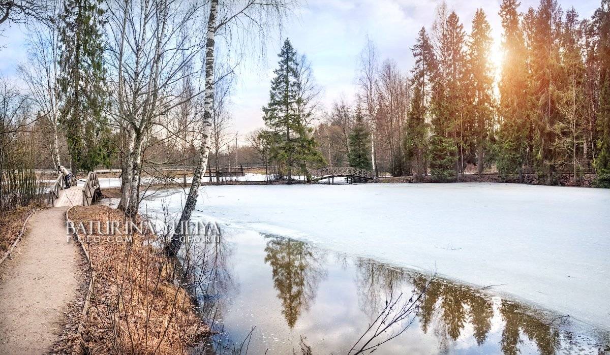 весна, абрамцево, пруд, Юлия Батурина