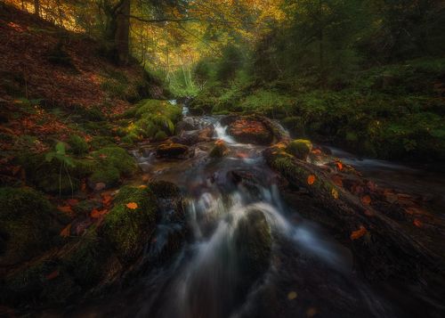 Течение времени